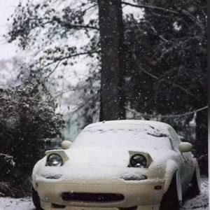 Meet your Posher, Tayler